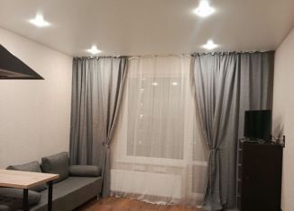 Сдам в аренду квартиру студию, 23 м2, Кудрово, Солнечная улица, 10к2