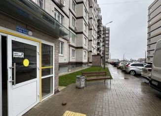 Продам 1-комнатную квартиру, 41 м2, деревня Борисовичи, Балтийская улица, 18