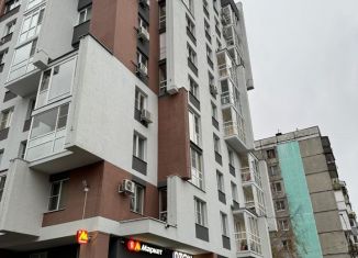 Продажа машиноместа, 19 м2, Нижний Новгород, улица Германа Лопатина, 7