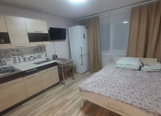 Квартира в аренду студия, 18 м2, Электросталь, Трудовая улица, 39