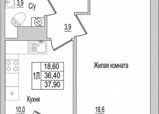 Продам 1-комнатную квартиру, 37.9 м2, Псковская область, улица Героя России Досягаева, 6