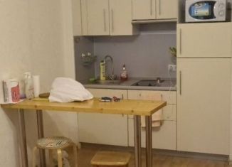 Квартира в аренду студия, 24 м2, Санкт-Петербург, улица Адмирала Черокова, 18к3