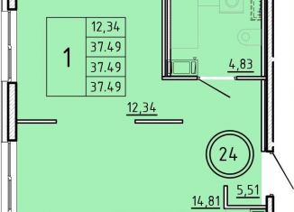 Продажа 1-комнатной квартиры, 37.5 м2, Санкт-Петербург, Соколиная улица, 7к1