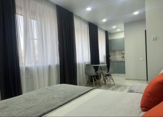 Сдается квартира студия, 26 м2, Хабаровск, улица Пушкина, 58