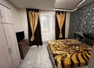 Сдаю в аренду квартиру студию, 25 м2, Видное, Битцевский проезд, 11