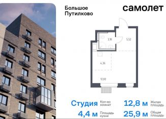 Продаю квартиру студию, 25.9 м2, деревня Путилково