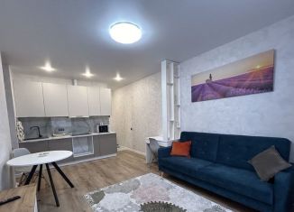 Сдается 2-ком. квартира, 47 м2, Челябинск, улица Братьев Кашириных, 111