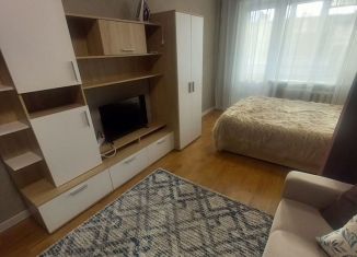 Аренда 1-ком. квартиры, 31 м2, Петропавловск-Камчатский, улица Чубарова, 5