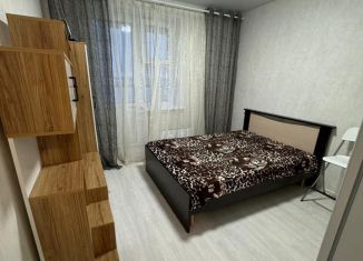 Сдается квартира студия, 21 м2, Нижний Новгород, улица Бориса Видяева, 10