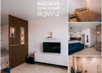 Сдаю квартиру студию, 50 м2, Новосибирск, улица Ясный Берег