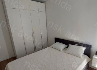 Сдается 1-ком. квартира, 30 м2, Новосибирск, Тополёвая улица, 16, метро Маршала Покрышкина