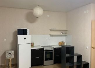 Сдается квартира студия, 31 м2, Казань, улица Рауиса Гареева, 94