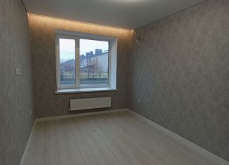 Продажа 1-комнатной квартиры, 30.2 м2, Михайловск, улица Ишкова, 105