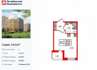 Продается квартира студия, 24.6 м2, Санкт-Петербург, муниципальный округ Коломяги