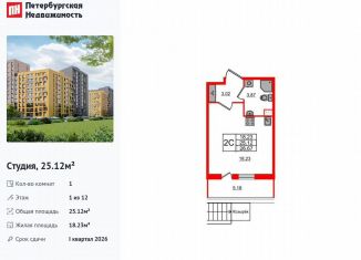 Квартира на продажу студия, 25.1 м2, Санкт-Петербург, муниципальный округ Коломяги