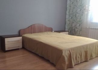 Сдается квартира студия, 33 м2, Красноярск, Дудинская улица, 2Б