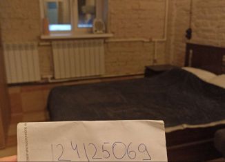 Сдаю двухкомнатную квартиру, 48 м2, Санкт-Петербург, Перекупной переулок, 7, метро Площадь Александра Невского-1