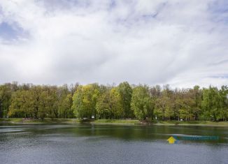 Квартира на продажу студия, 24.5 м2, Москва, Шереметьевская улица, 85с2, метро Бутырская