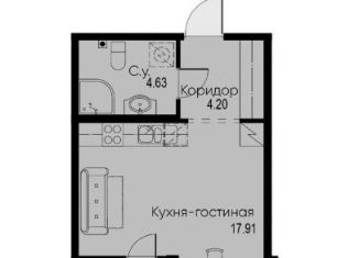 Квартира на продажу студия, 27.2 м2, Санкт-Петербург, муниципальный округ Сосновая Поляна, проспект Ветеранов