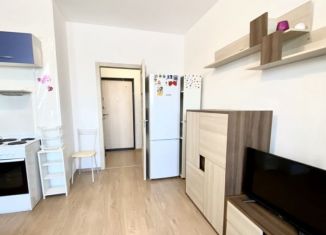 Аренда квартиры студии, 33 м2, Кудрово, Столичная улица, 5к2