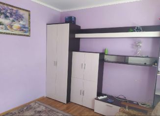 Продается 1-комнатная квартира, 25 м2, село Покровское, Берёзовая улица, 72