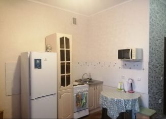 Квартира в аренду студия, 29 м2, село Криводановка, Микрорайон, 25А