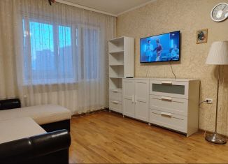 1-комнатная квартира в аренду, 42 м2, Санкт-Петербург, ЖК Пулковский Посад, Дунайский проспект, 5к4