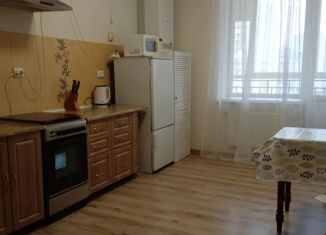 Сдается в аренду 1-комнатная квартира, 45 м2, Калининград, улица Аксакова, 131, ЖК Комфортный