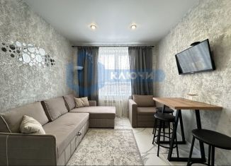 Продаю квартиру студию, 18 м2, деревня Зелёная Поляна, Курортная улица, 8