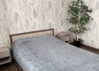 2-комнатная квартира в аренду, 42 м2, Новосибирск, улица Забалуева, 96, метро Площадь Маркса