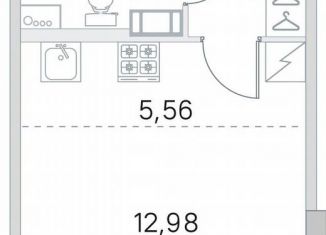 Продажа квартиры студии, 27.5 м2, посёлок Шушары