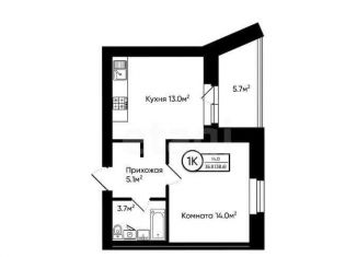 Продажа 1-ком. квартиры, 38.6 м2, Владимирская область