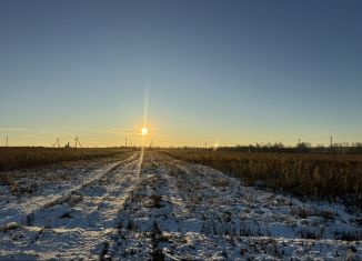 Земельный участок на продажу, 8.4 сот., село Червишево