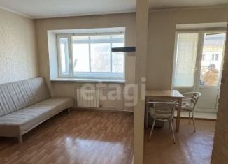 Продажа 1-комнатной квартиры, 30 м2, Екатеринбург, Шарташская улица, 10, Кировский район