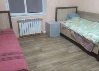 Комната в аренду, 12 м2, деревня Пирогово, Центральная улица, 38