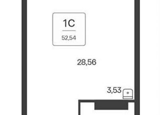 Продажа квартиры студии, 52.5 м2, Новосибирск, Красный проспект, 180, метро Заельцовская