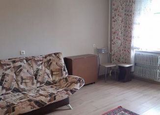 Квартира в аренду студия, 26 м2, Киров, улица Ленина, 184к3