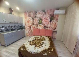 Квартира на продажу студия, 25 м2, Краснодарский край, Владимирская улица, 154к3