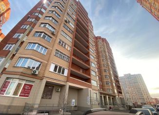 Продажа двухкомнатной квартиры, 59 м2, Оренбург, Салмышская улица, 43/4