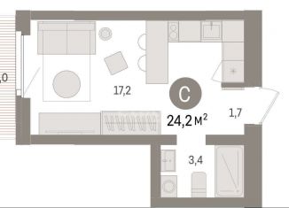 Продам квартиру студию, 24.2 м2, Липецкая область, площадь Петра Великого, 1