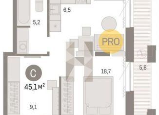 Продается квартира студия, 45.1 м2, Новосибирск, Центральный район