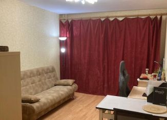 Сдается квартира студия, 30 м2, Санкт-Петербург, Заречная улица, 19к1