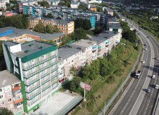 Продажа 2-комнатной квартиры, 48 м2, Петропавловск-Камчатский, улица Академика Королёва, 21/1, микрорайон Горизонт-Юг