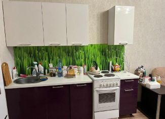 Продается квартира студия, 27 м2, Ростов-на-Дону, переулок Андреева, 13