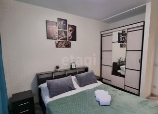 Сдается 1-ком. квартира, 37 м2, Санкт-Петербург, Парфёновская улица, 9к2