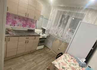 Сдаю 1-ком. квартиру, 30 м2, Новосибирская область, улица ЖКО Аэропорта, 15