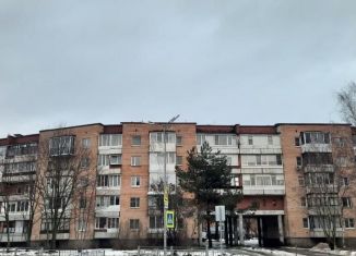 Двухкомнатная квартира на продажу, 52.5 м2, Ленинградская область, проспект Героев, 22