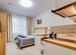 Сдается квартира студия, 26 м2, Санкт-Петербург, метро Купчино, Пулковское шоссе, 14с6