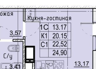 Продается квартира студия, 24.7 м2, Ставропольский край