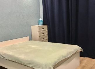 Сдача в аренду 1-комнатной квартиры, 31 м2, Новгородская область, Большая Московская улица, 132к1